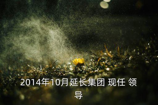 2014年10月延長集團(tuán) 現(xiàn)任 領(lǐng)導(dǎo)