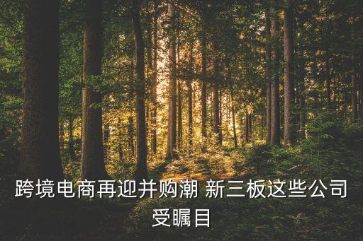 跨境電商再迎并購潮 新三板這些公司受矚目