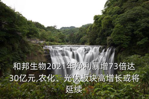 和邦生物2021年凈利暴增73倍達30億元,農(nóng)化、光伏板塊高增長或?qū)⒀永m(xù)