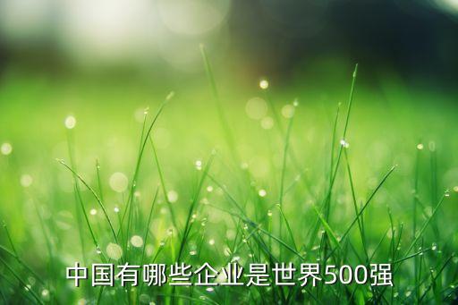 中國有哪些企業(yè)是世界500強(qiáng)