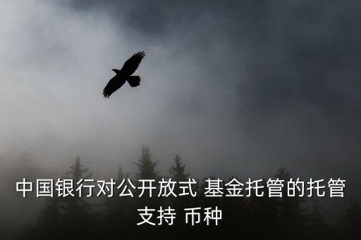 中國銀行對公開放式 基金托管的托管支持 幣種