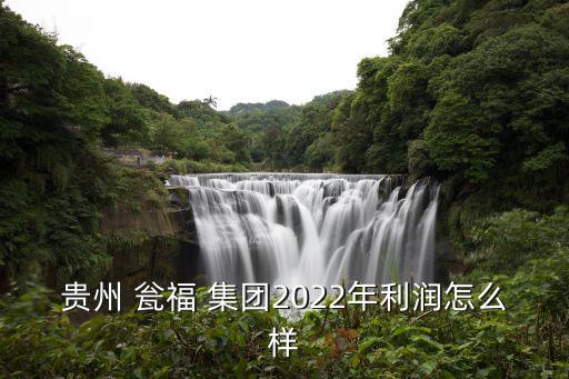 貴州 甕福 集團(tuán)2022年利潤(rùn)怎么樣