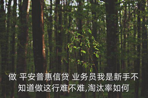 做 平安普惠信貸 業(yè)務員我是新手不知道做這行難不難,淘汰率如何