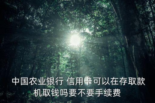  中國農業(yè)銀行 信用卡可以在存取款機取錢嗎要不要手續(xù)費