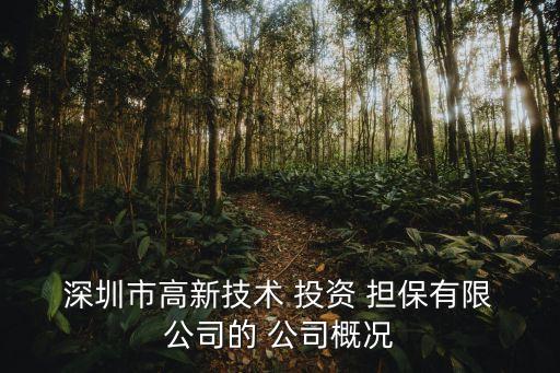 深圳最大的投資擔保公司,永州金禧投資擔保公司