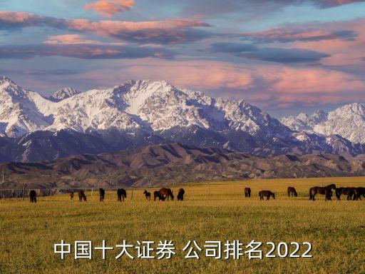 中國十大證券 公司排名2022