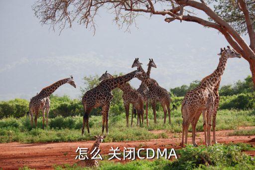 怎么 關(guān)閉CDMA