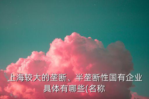  上海較大的壟斷、半壟斷性國有企業(yè)具體有哪些(名稱