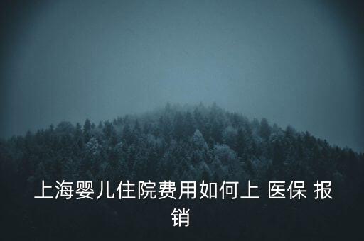  上海嬰兒住院費(fèi)用如何上 醫(yī)保 報銷