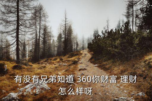 有沒有兄弟知道 360你財富 理財怎么樣呀