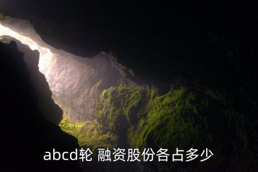 abcd輪 融資股份各占多少