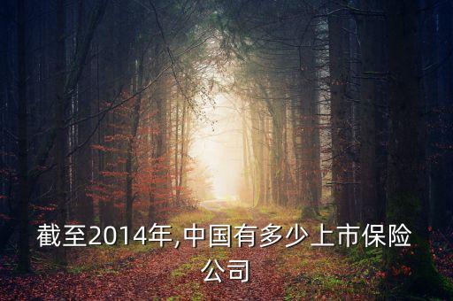 截至2014年,中國(guó)有多少上市保險(xiǎn)公司