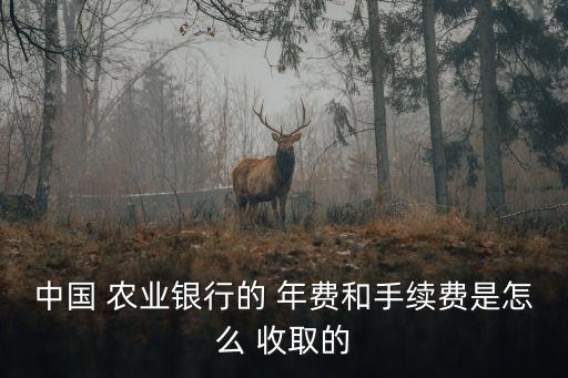 中國 農(nóng)業(yè)銀行的 年費(fèi)和手續(xù)費(fèi)是怎么 收取的