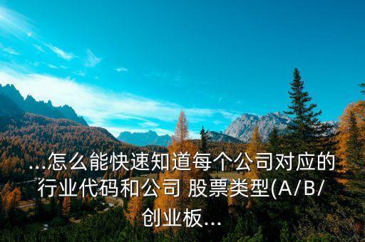 ...怎么能快速知道每個公司對應(yīng)的行業(yè)代碼和公司 股票類型(A/B/創(chuàng)業(yè)板...