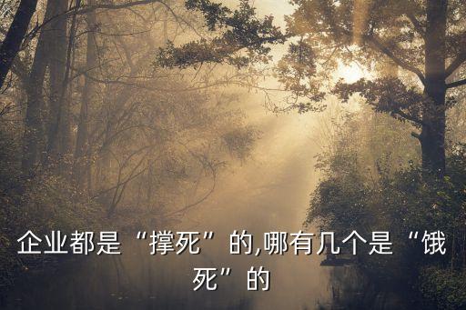 企業(yè)都是“撐死”的,哪有幾個(gè)是“餓死”的