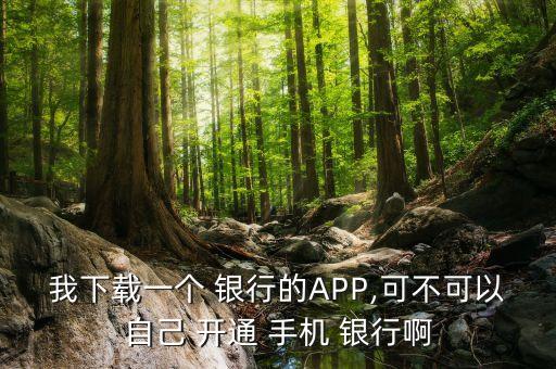 我下載一個(gè) 銀行的APP,可不可以自己 開(kāi)通 手機(jī) 銀行啊