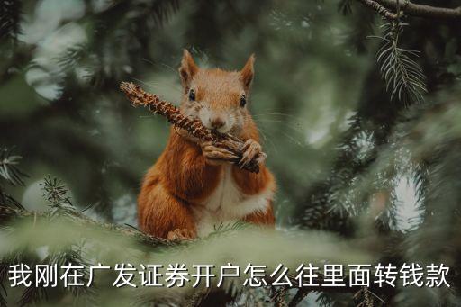 我剛在廣發(fā)證券開(kāi)戶怎么往里面轉(zhuǎn)錢(qián)款