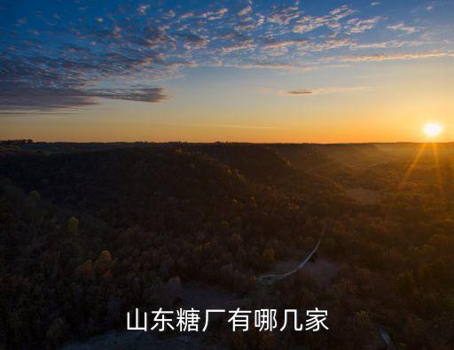 山東糖廠有哪幾家