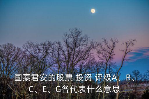 國泰君安的股票 投資 評(píng)級(jí)A、B、C、E、G各代表什么意思