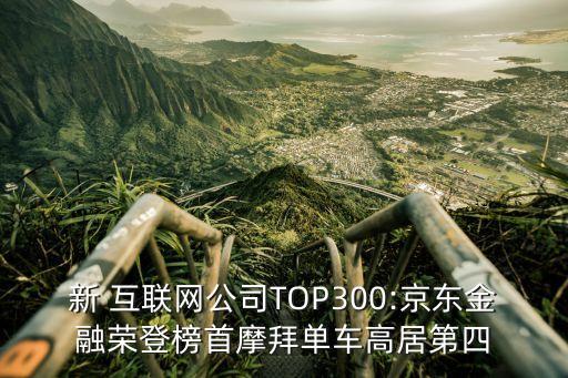 新 互聯(lián)網(wǎng)公司TOP300:京東金融榮登榜首摩拜單車高居第四