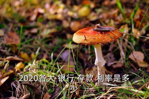 2020各大 銀行 存款 利率是多少