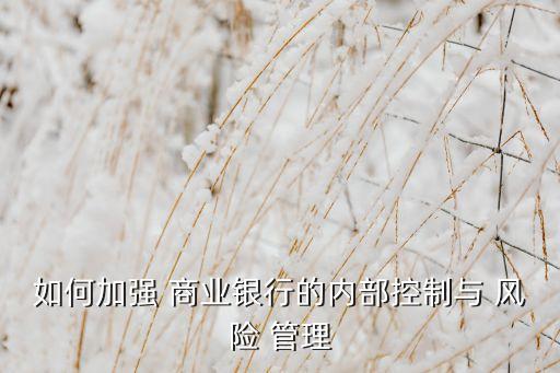 如何加強(qiáng) 商業(yè)銀行的內(nèi)部控制與 風(fēng)險(xiǎn) 管理