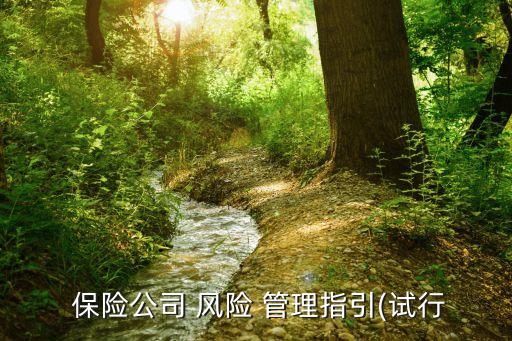  保險公司 風(fēng)險 管理指引(試行