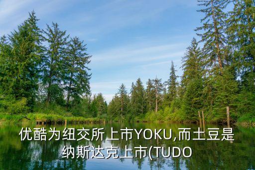 優(yōu)酷為紐交所上市YOKU,而土豆是納斯達(dá)克上市(TUDO