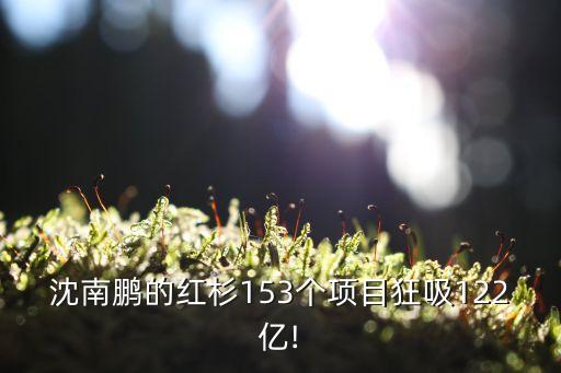 沈南鵬的紅杉153個項目狂吸122億!