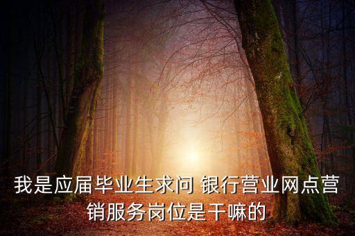 我是應屆畢業(yè)生求問 銀行營業(yè)網(wǎng)點營銷服務(wù)崗位是干嘛的