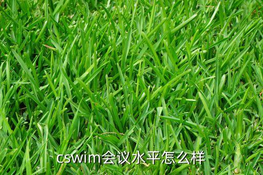 cswim會(huì)議水平怎么樣