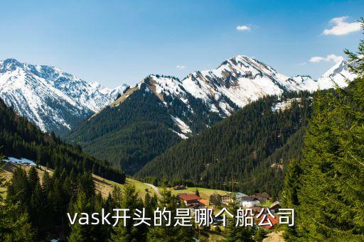 vask開頭的是哪個(gè)船公司