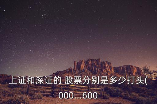 上證和深證的 股票分別是多少打頭(000...600