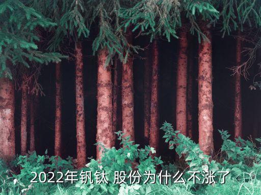 2022年釩鈦 股份為什么不漲了