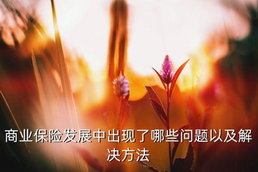 保險(xiǎn)公司存在的問(wèn)題