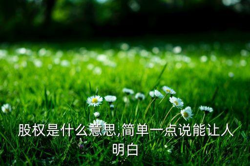  股權(quán)是什么意思,簡單一點說能讓人明白