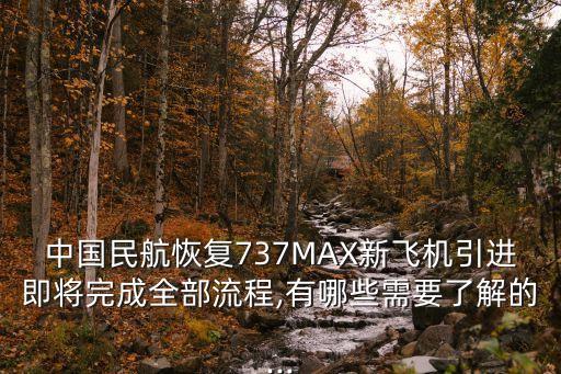 中國民航恢復(fù)737MAX新飛機引進即將完成全部流程,有哪些需要了解的...