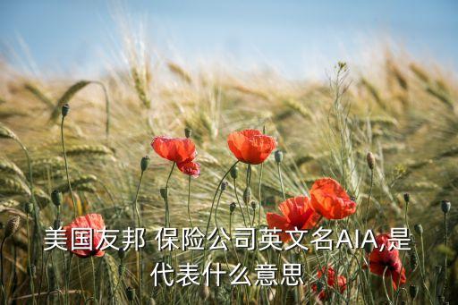 外資獨(dú)資保險(xiǎn)公司,中國外資獨(dú)資保險(xiǎn)公司有哪些