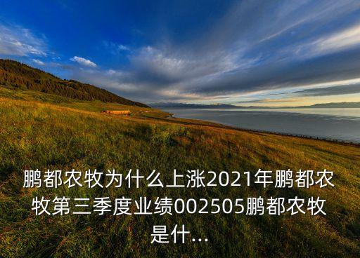 鵬都農(nóng)牧為什么上漲2021年鵬都農(nóng)牧第三季度業(yè)績(jī)002505鵬都農(nóng)牧是什...