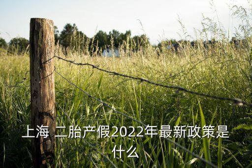 上海 二胎產(chǎn)假2022年最新政策是什么