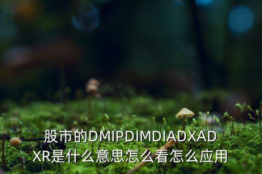 股市的DMIPDIMDIADXADXR是什么意思怎么看怎么應用