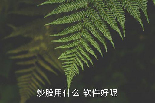 大贏家股票軟件,雙色球計劃大贏家軟件