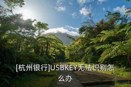 [杭州銀行]USBKEY無法識別怎么辦