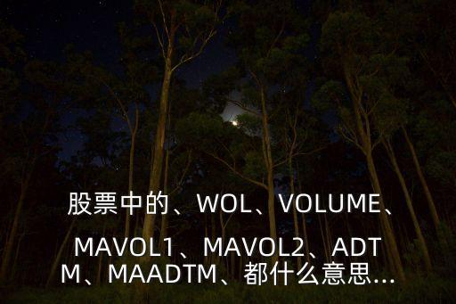  股票中的、WOL、VOLUME、MAVOL1、MAVOL2、ADTM、MAADTM、都什么意思...