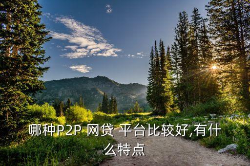 哪種P2P 網(wǎng)貸 平臺(tái)比較好,有什么特點(diǎn)