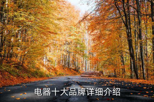 杭州老板家電廚衛(wèi)有限公司,杭州百德嘉廚衛(wèi)科技有限公司