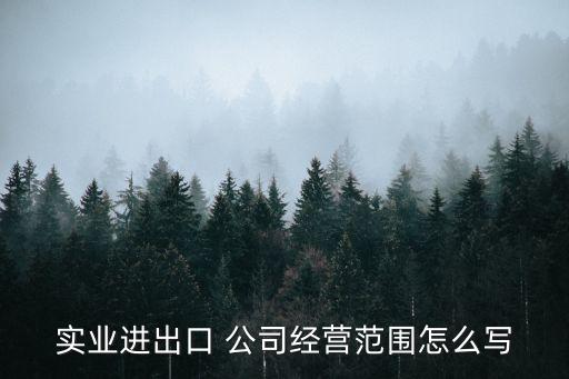 實(shí)業(yè)進(jìn)出口 公司經(jīng)營(yíng)范圍怎么寫