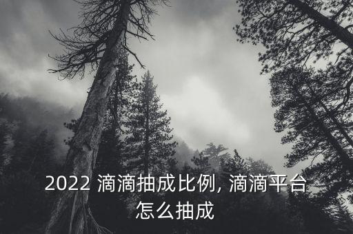 2022 滴滴抽成比例, 滴滴平臺怎么抽成