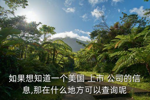 如果想知道一個(gè)美國(guó) 上市 公司的信息,那在什么地方可以查詢呢