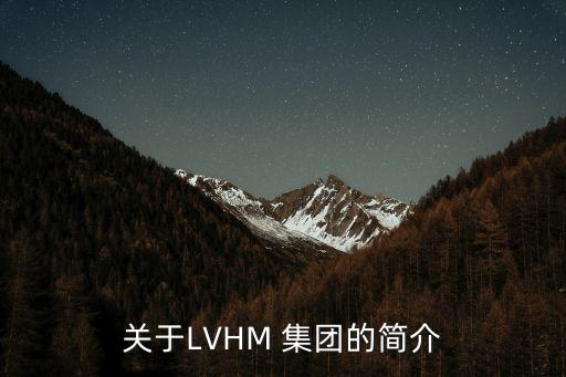 關于LVHM 集團的簡介